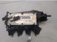  Коллектор впускной Volkswagen Polo 2009-2014 20447413 #1