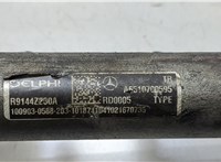 A6510700800, A6510700595 Рампа (рейка) топливная Mercedes E W212 2009-2016 20447623 #2
