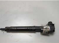 A6510702887 Форсунка топливная Mercedes E W212 2009-2016 20447629 #1
