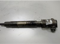 A6510702887 Форсунка топливная Mercedes E W212 2009-2016 20447634 #1