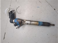 166006212R Форсунка топливная Renault Megane 3 2009-2016 20447922 #1