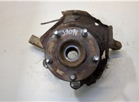  Ступица (кулак, цапфа) Nissan X-Trail (T30) 2001-2006 20449511 #1