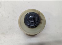 9110366, 9110465 Бачок гидроусилителя Opel Movano 2010- 20449967 #1