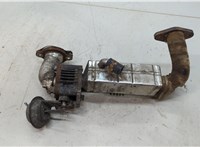  Охладитель отработанных газов Mazda CX-7 2007-2012 20450050 #1
