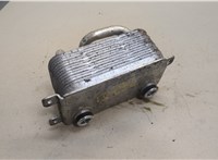  Теплообменник BMW 5 E60 2003-2010 20450131 #4