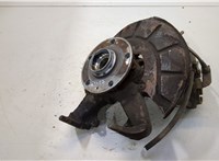 1K0407256T, 1K0498621 Ступица (кулак, цапфа) Skoda Yeti 2009-2018 20450402 #1