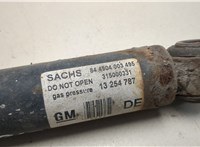  Амортизатор подвески Opel Vectra C 2002-2008 20450604 #4