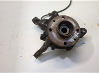  Ступица (кулак, цапфа) Renault Megane 1996-2002 20450639 #1