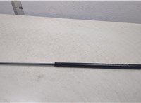 51238240596 Амортизатор капота BMW 7 E65 2001-2008 20451020 #1