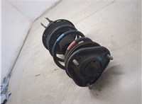 4852079105, 4813176010 Амортизатор подвески Lexus CT 2010-2014 20451251 #6