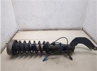 31316792929, 31336783004 Амортизатор подвески BMW X6 E71 2007-2014 20451337 #5