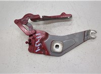 41007198618, 7198618 Петля капота BMW X6 E71 2007-2014 20452498 #1