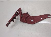 41007198618, 7198618 Петля капота BMW X6 E71 2007-2014 20452500 #1
