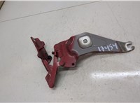 41007198618, 7198618 Петля капота BMW X6 E71 2007-2014 20452500 #3