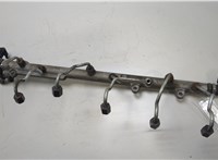 13537805727 Рампа (рейка) топливная BMW X6 E71 2007-2014 20452701 #1
