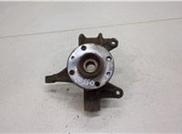  Ступица (кулак, цапфа) Renault Megane 2 2002-2009 20453570 #1