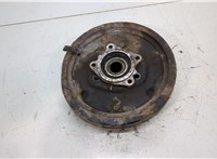 4230142010, 4240942010, 4704442013 Ступица (кулак, цапфа) Toyota RAV 4 1994-2000 20453903 #2