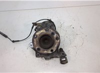 31216765157, 6765157, 31216793924, 6793924 Ступица (кулак, цапфа) BMW 3 E90, E91, E92, E93 2005-2012 20453964 #1