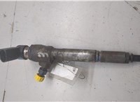 166009445R, 8200294788 Форсунка топливная Renault Megane 2 2002-2009 20453982 #1