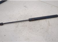 68101213AA Амортизатор крышки багажника Dodge Journey 2011-2020 20454654 #1