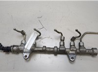  Рампа (рейка) топливная Opel Corsa D 2006-2014 20454869 #1