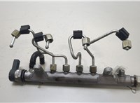 03L130089 Рампа (рейка) топливная Volkswagen Passat 6 2005-2010 20455299 #1