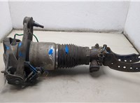 95534303442 Амортизатор подвески Porsche Cayenne 2002-2010 20455864 #6