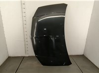  Форсунка омывателя стекла Chrysler Voyager 2007-2010 11423900 #1
