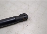 6896076040 Амортизатор крышки багажника Lexus CT 2010-2014 20455914 #2