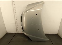  Капот Renault Scenic 1996-2002 20455978 #1