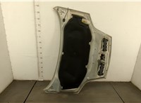  Капот Renault Scenic 1996-2002 20455978 #7
