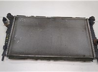  Радиатор охлаждения двигателя Ford Focus 2 2005-2008 20456182 #1