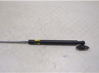 6896076040 Петля крышки багажника Lexus CT 2010-2014 11424174 #1