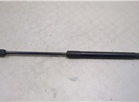 51237148346 Амортизатор капота BMW X6 E71 2007-2014 20456386 #1