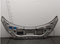  Капот Renault Scenic 2003-2009 20456406 #8