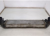  Радиатор интеркулера Ford C-Max 2002-2010 20456868 #4
