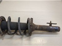  Амортизатор подвески Ford Transit 2000-2006 20456873 #1