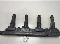 1208020, 24420584, 93177212 Катушка зажигания Opel Corsa C 2000-2006 20457140 #1