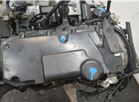 A6460100101 Двигатель (ДВС) Mercedes Vito W639 2003-2014 20457350 #21