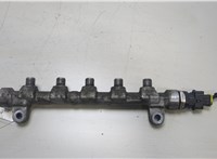 314002A420 Рампа (рейка) топливная KIA Soul 2008-2014 20457557 #1