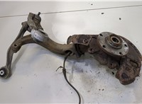  Ступица (кулак, цапфа) Volkswagen Passat 5 2000-2005 20457571 #1