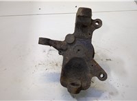  Кулак поворотный Iveco Daily 3 2000-2005 11424917 #1