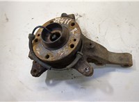  Ступица (кулак, цапфа) Renault Laguna 2 2001-2007 20457652 #1