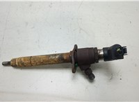 LR006495 Форсунка топливная Land Rover Discovery 3 2004-2009 20457676 #1
