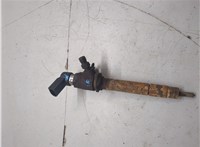 LR006495 Форсунка топливная Land Rover Discovery 3 2004-2009 20457676 #7