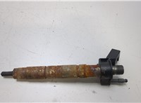 13537823461 Форсунка топливная BMW X5 F15 2013-2018 20457703 #1