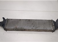 A2465000900 Радиатор интеркулера Mercedes A W176 2012-2018 20458010 #1