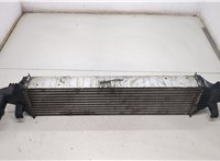 A2465000900 Радиатор интеркулера Mercedes A W176 2012-2018 20458010 #3