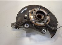 328001, 13583479, 308118 Ступица (кулак, цапфа) Opel Zafira C 2011-2019 20458058 #1