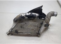  Радиатор интеркулера Audi A8 (D3) 2002-2010 20458071 #1